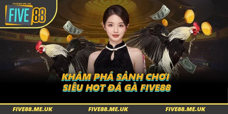 Khám phá sảnh chơi siêu hot đá gà FIVE88